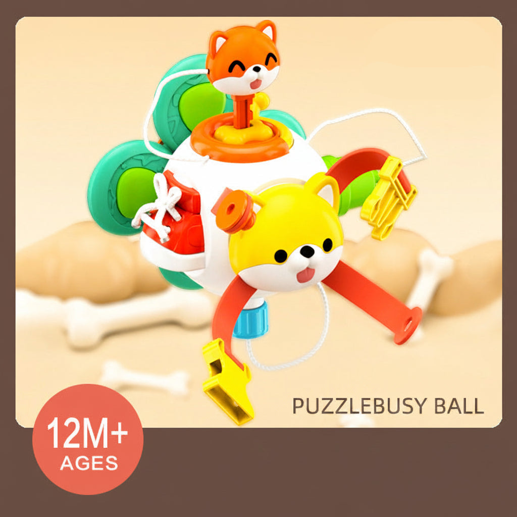 6 in 1 Baby Busy Ball